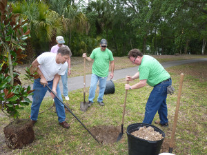 In the foreground, from left to right, Grant Rimbey, David Jonatti and Alan Denham prepare a hole for a magnolia tree. 