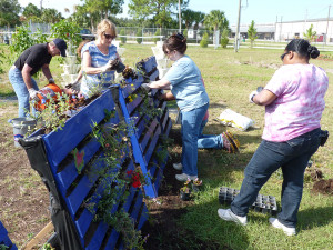 Packing recycled pallets with dirt and plants, Beverly Morgan, Tracy Mortellaro and Rosa Webster create a vertical garden. 