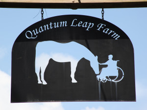 The mission of Quantum Leap Farm is to help people of all ages and abilities grow strong, achieve goals and overcome challenges by engaging them with horses.