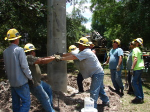 TECO team members plant the new, non-energized pole that will hold the relocated osprey nest. 