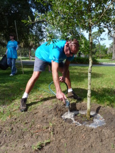 TECO's Bruce Mahoney waters a just-planted oak in the yard of Temple Terrace resident Lani Czyzewski, who received the free tree through the city's Adopt-a-Tree program.