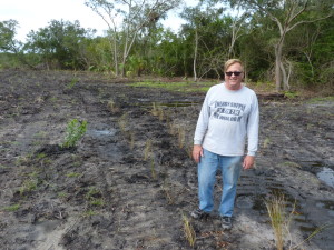 Stan Kroh stands where volunteers added plants. Before long, this will start to look like a lush plot of natural Florida.