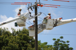 Tampa Electric team members install a recloser.