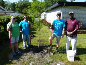 In the center, one day to be a nice big tree providing lots of shade. From left, Melanie Ganas, John Webster, Adam Padgett and Andrew Blake at the home of a Temple Terrace resident.