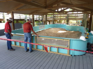A peek at the rays touch tank that will open at the Manatee Viewing Center in December; look for more details soon!
