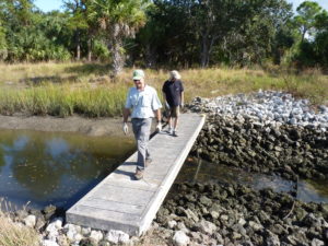 This temporary bridge, installed by Tampa Bay Marine, enables volunteers to access the deeper reaches of the Newman Branch Creek planting site.