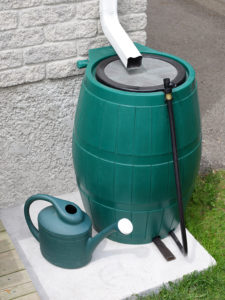 Rain barrels make sense for just about any yard - and local governmental resources are available to help you get started.